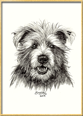 Portrait of Cairn Terrier done in pen and ink - Custom Portrait Commissions of Pets, Animal drawings, Sketches, Wildlife Art by Shafali.